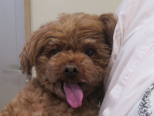 5月 8日の写真_c0174644_14351639.jpg