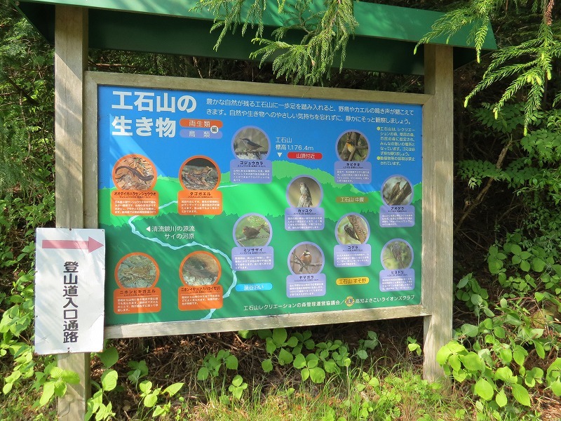 高知市工石山_d0080249_19372774.jpg