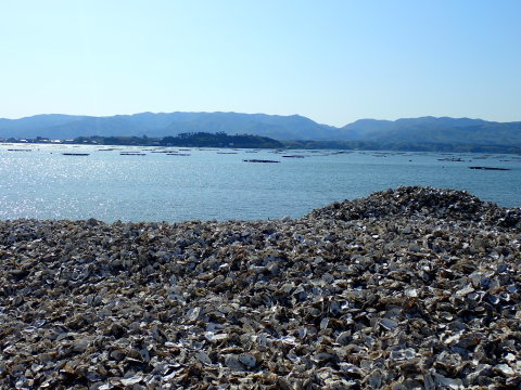 佐渡　アウトドア満喫旅　2日目の午前中は自転車で加茂湖一周_e0305253_18353271.jpg