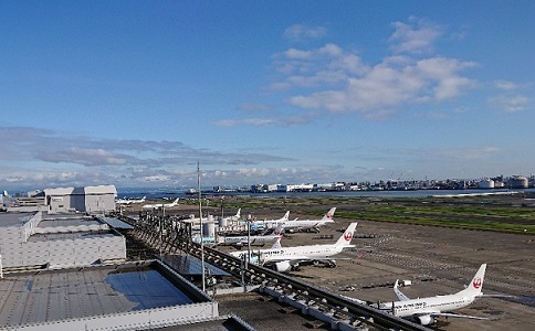 羽田へお迎え と ユニークなスカート_a0264383_19300265.jpg