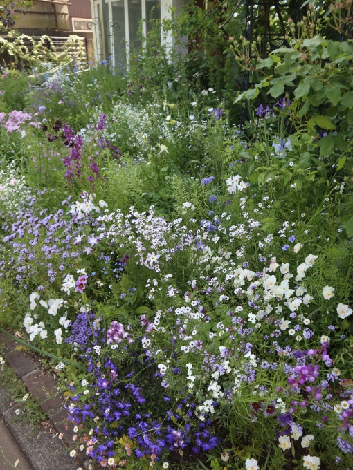 今シーズン４回目のK邸はブルーの花の季節♪_b0331802_21143939.jpg