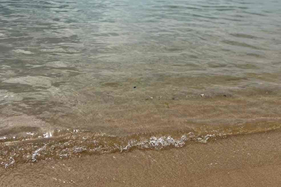 人気の移住地『糸島』に土地をご用意しています。※土地の募集は終了しました。_e0029115_15554106.jpg