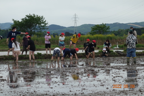 北郷小学校３年ぶりの田植え体験の様子_d0247345_16480155.jpg