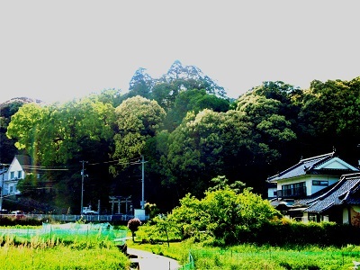 亀山八幡宮の森は、県内有数の広葉樹林_e0175370_15435345.jpg