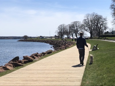 犬とお散歩_c0353373_20420394.jpg