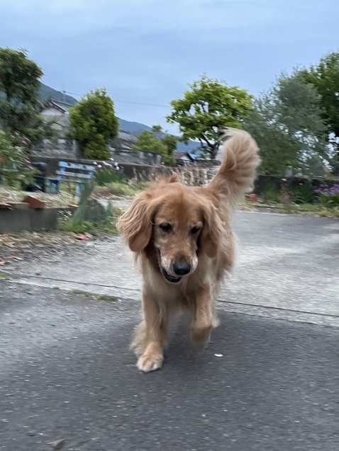 不安と、安堵と。_a0394574_21074810.jpeg