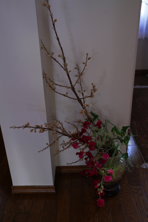 音楽と花の昼下がり〜序章_b0208604_15243727.jpg