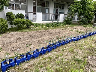 2年生 学習の様子_d0172404_07312806.jpg