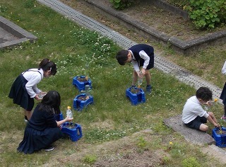 2年生 学習の様子_d0172404_07312843.jpg