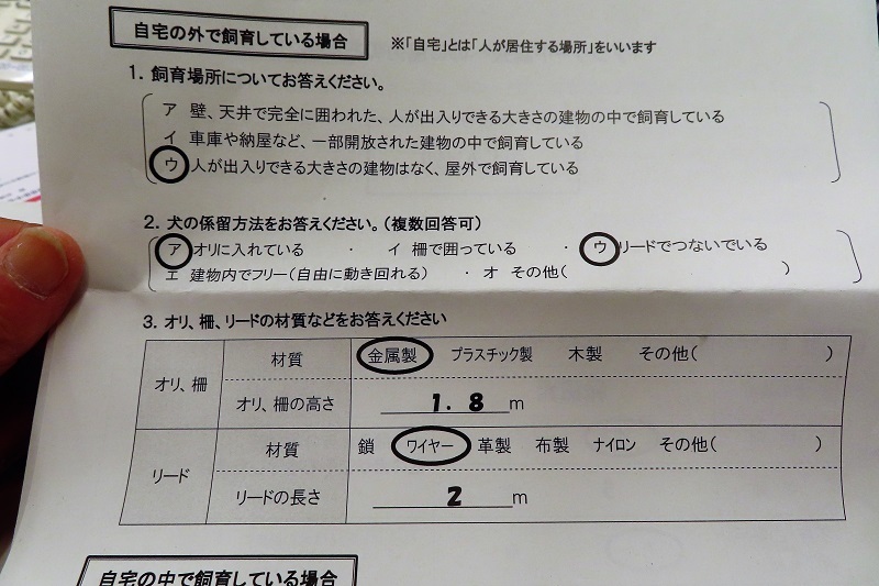 子は育つ_f0076731_18481628.jpeg