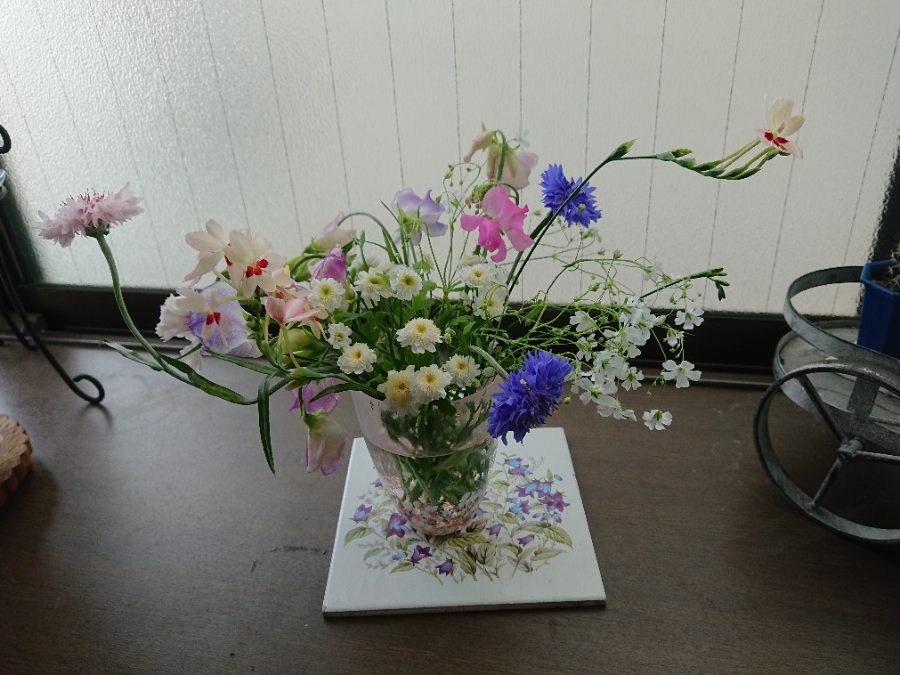 靴下 & 頂き物で楽しむ_e0376371_18020795.jpg