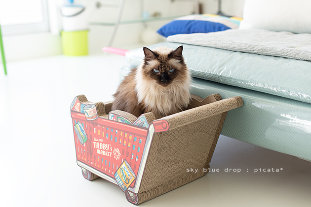 猫 つめとぎ ねこ スクラッチ ダンボール バリバリ ベッド ミケ 段ボール 爪とぎ 爪みがき 爪磨き 最大72 Offクーポン 爪とぎ