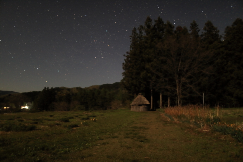 夜のデンデラ野は幻想的で鹿だらけ_f0075075_09103358.jpg
