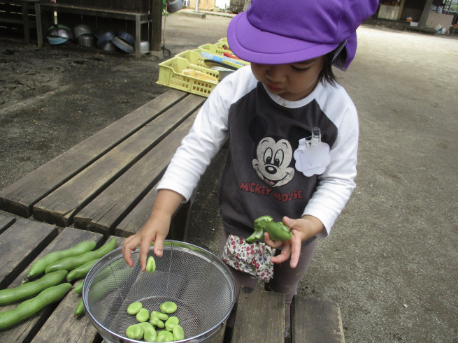 千葉幼稚園の春といえば…_f0334882_15054742.jpg