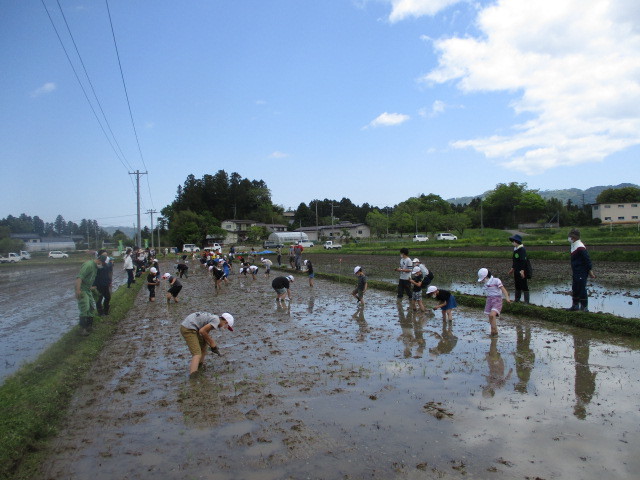 令和４年度枝野小学校田植え体験の様子_d0247484_16172322.jpg