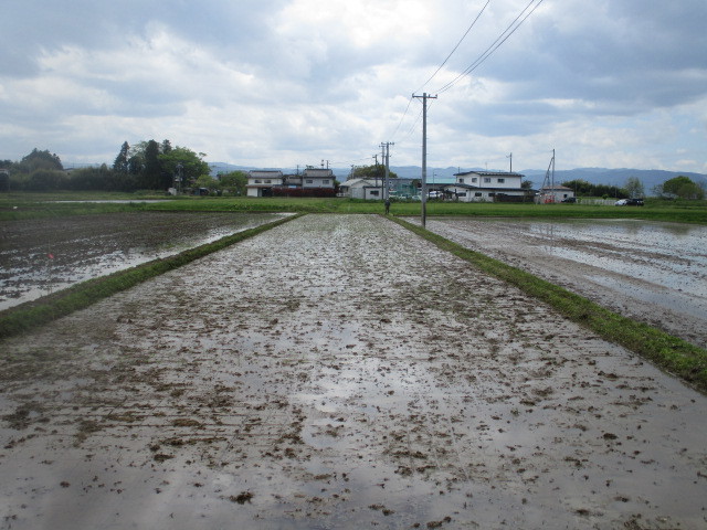 令和４年度枝野小学校田植え体験の様子_d0247484_16320236.jpg