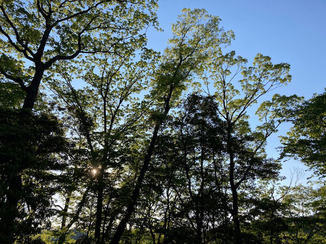 キャンプ山泊_e0208519_13511440.jpg