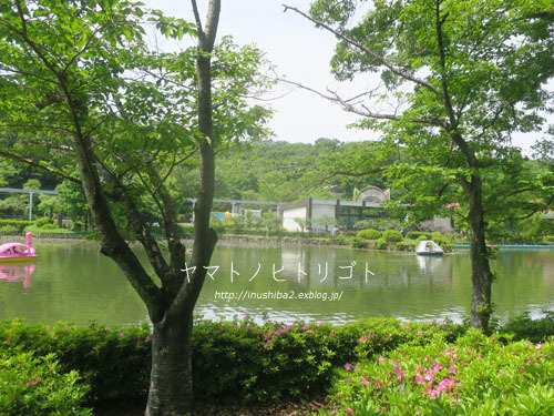 雨が降る前に・・・_e0394031_06295113.jpg