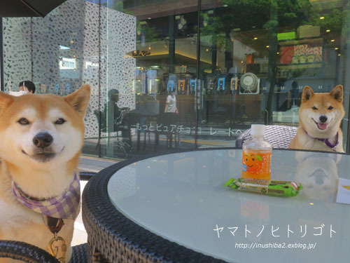雨が降る前に・・・_e0394031_06295850.jpg