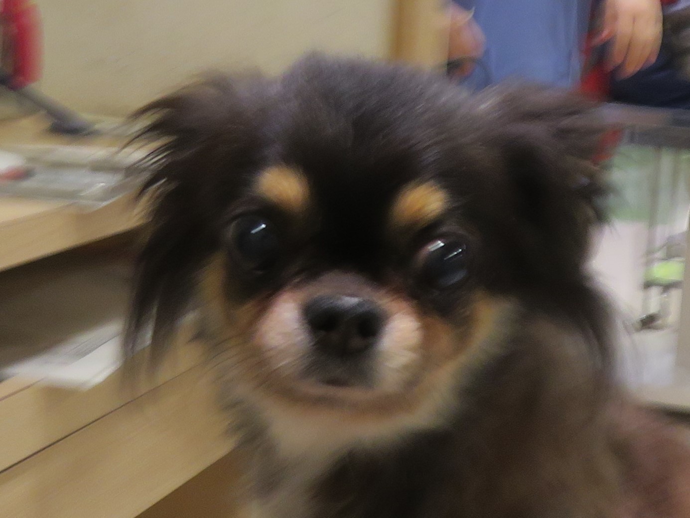 5月11日の写真_c0174644_15020045.jpg