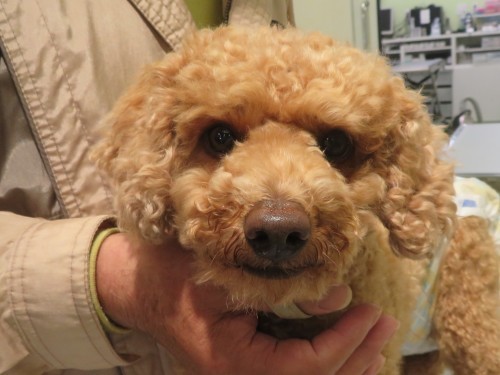 5月11日の写真_c0174644_15022947.jpg
