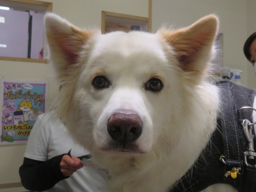 5月11日の写真_c0174644_20115740.jpg