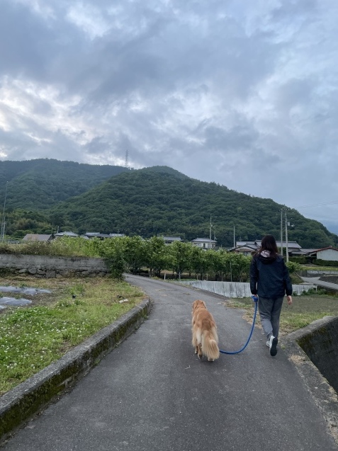 ストレスフル。_a0394574_20435380.jpeg