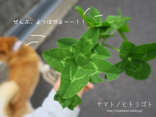 あらら・・・な一日_e0394031_06063970.jpg