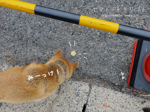 あらら・・・な一日_e0394031_06064122.jpg