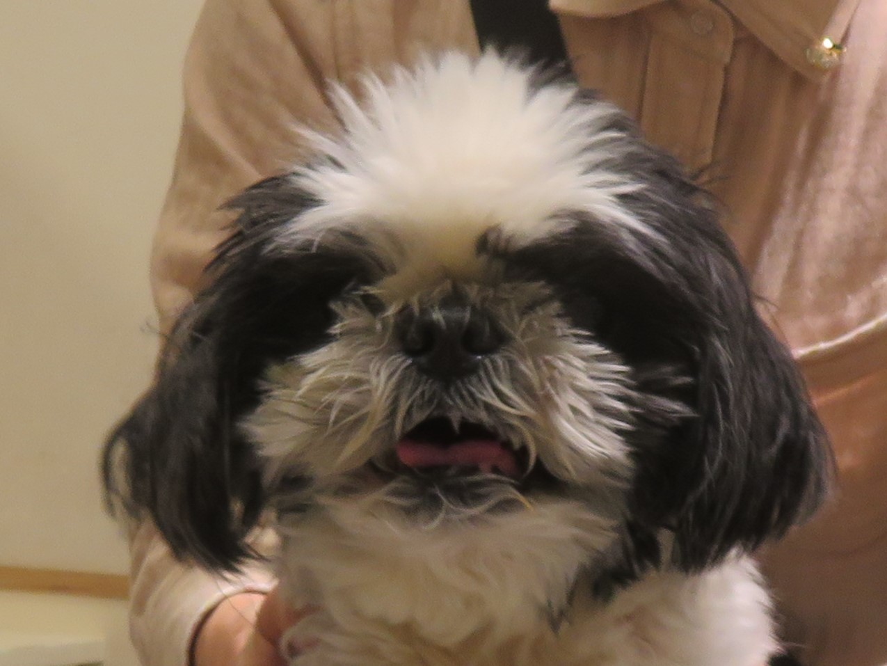 5月12日の写真_c0174644_13291951.jpg