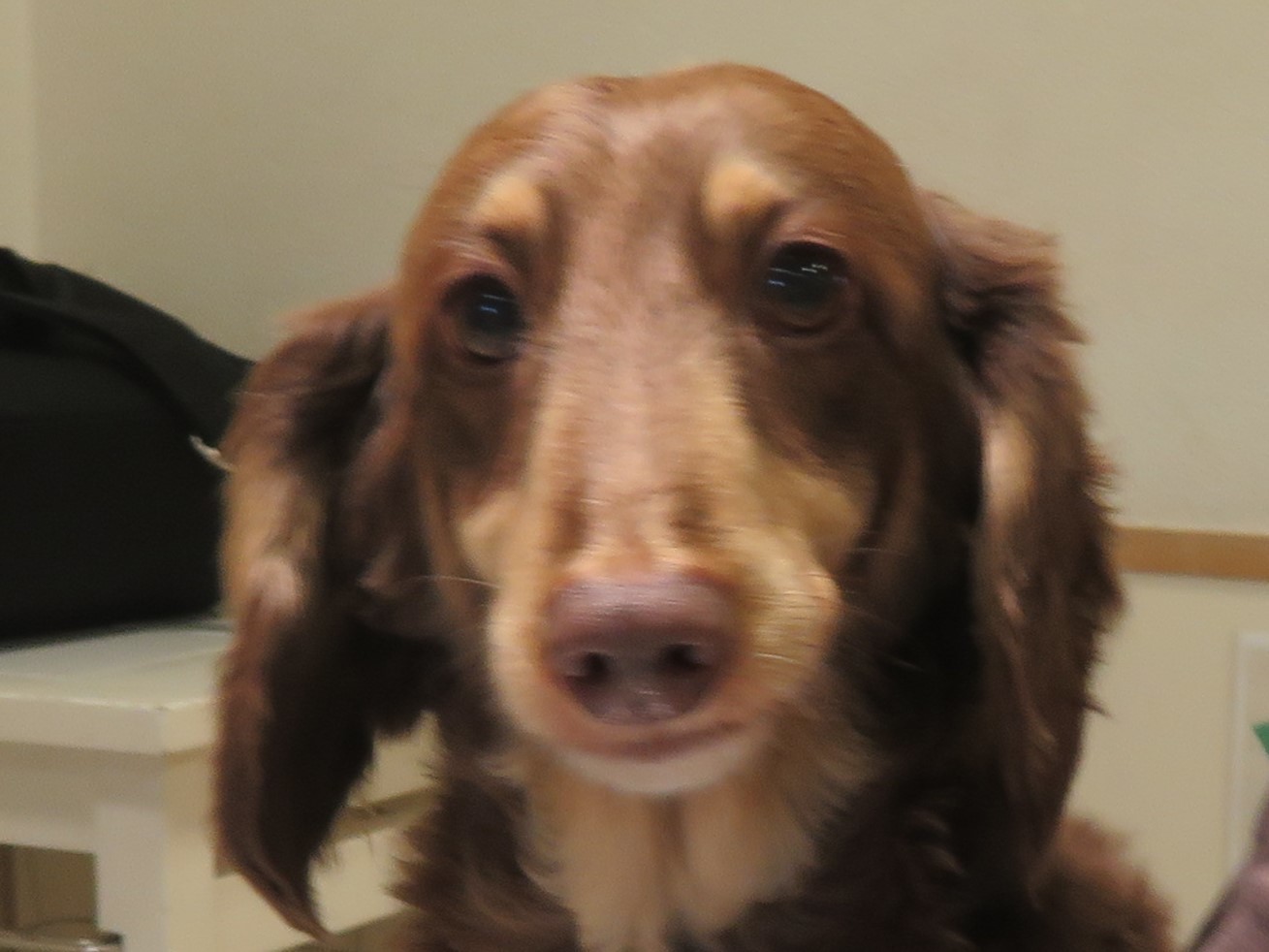 5月12日の写真_c0174644_13292155.jpg