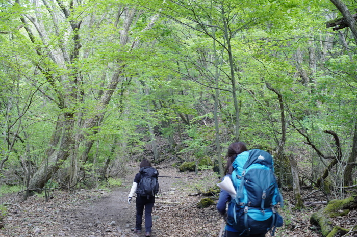 くじゅうの山旅①_e0195587_19575738.jpg