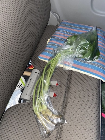 ギャッぺ_b0229801_23202075.jpeg