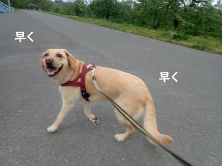 アリ!?_c0182012_14033835.jpg
