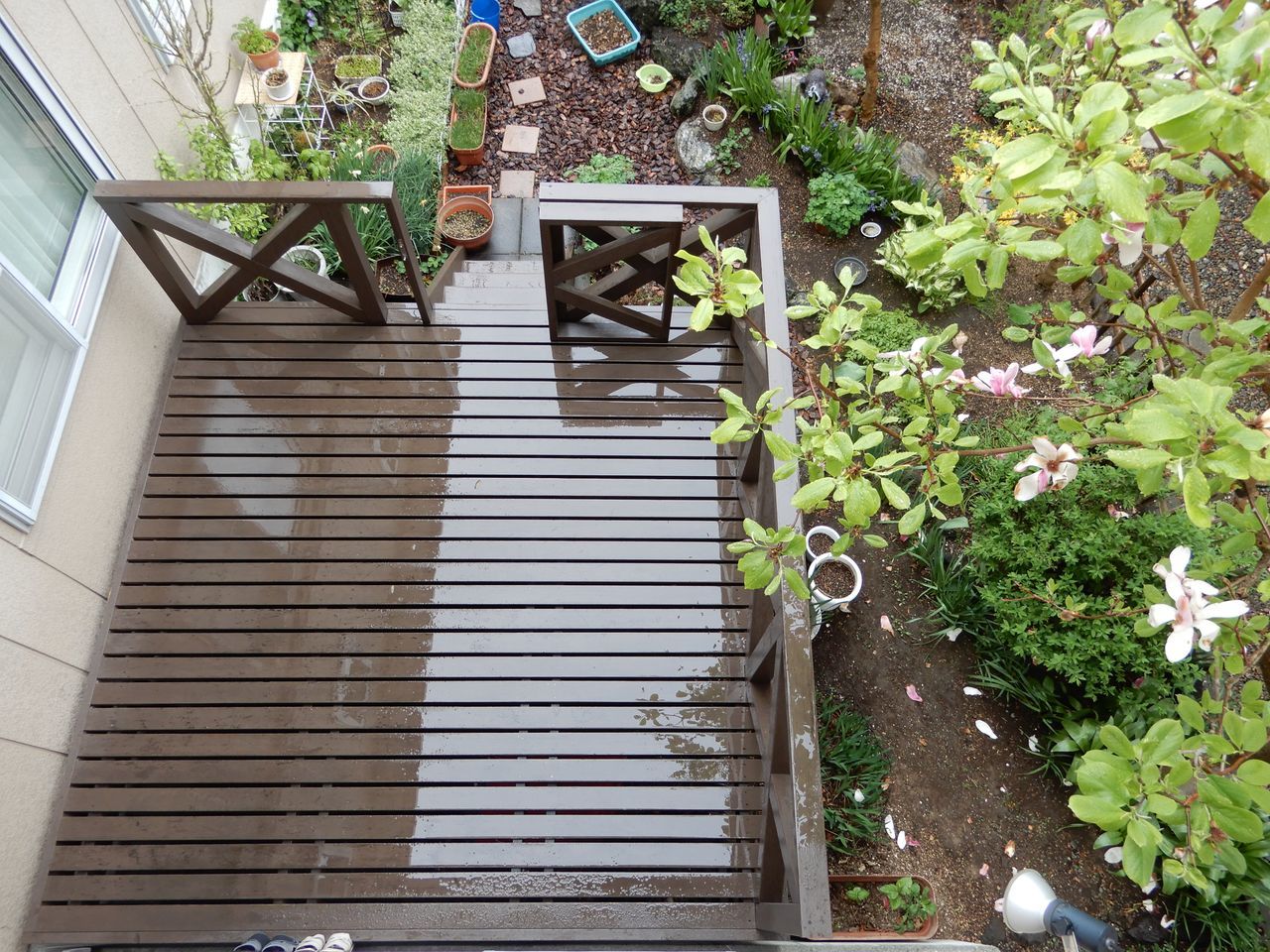 朝は雨_c0025115_22083927.jpg