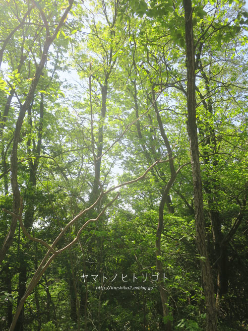 最近食べたもの【清明】 ①_e0394031_06171360.jpg