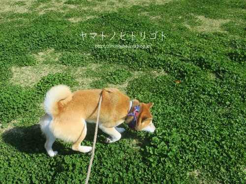 最近食べたもの【清明】 ①_e0394031_06171555.jpg