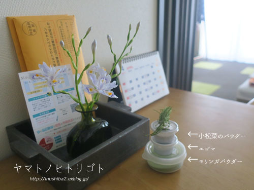最近食べたもの【清明】②_e0394031_18283817.jpg