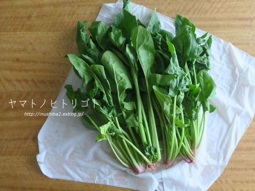 最近食べたもの【清明】②_e0394031_18284873.jpg