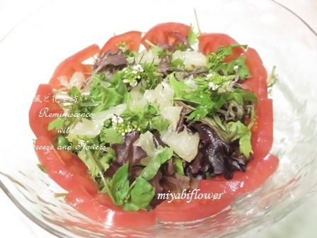 花クレソンとゆげひょうかんのサラダ 風と花を紡いで