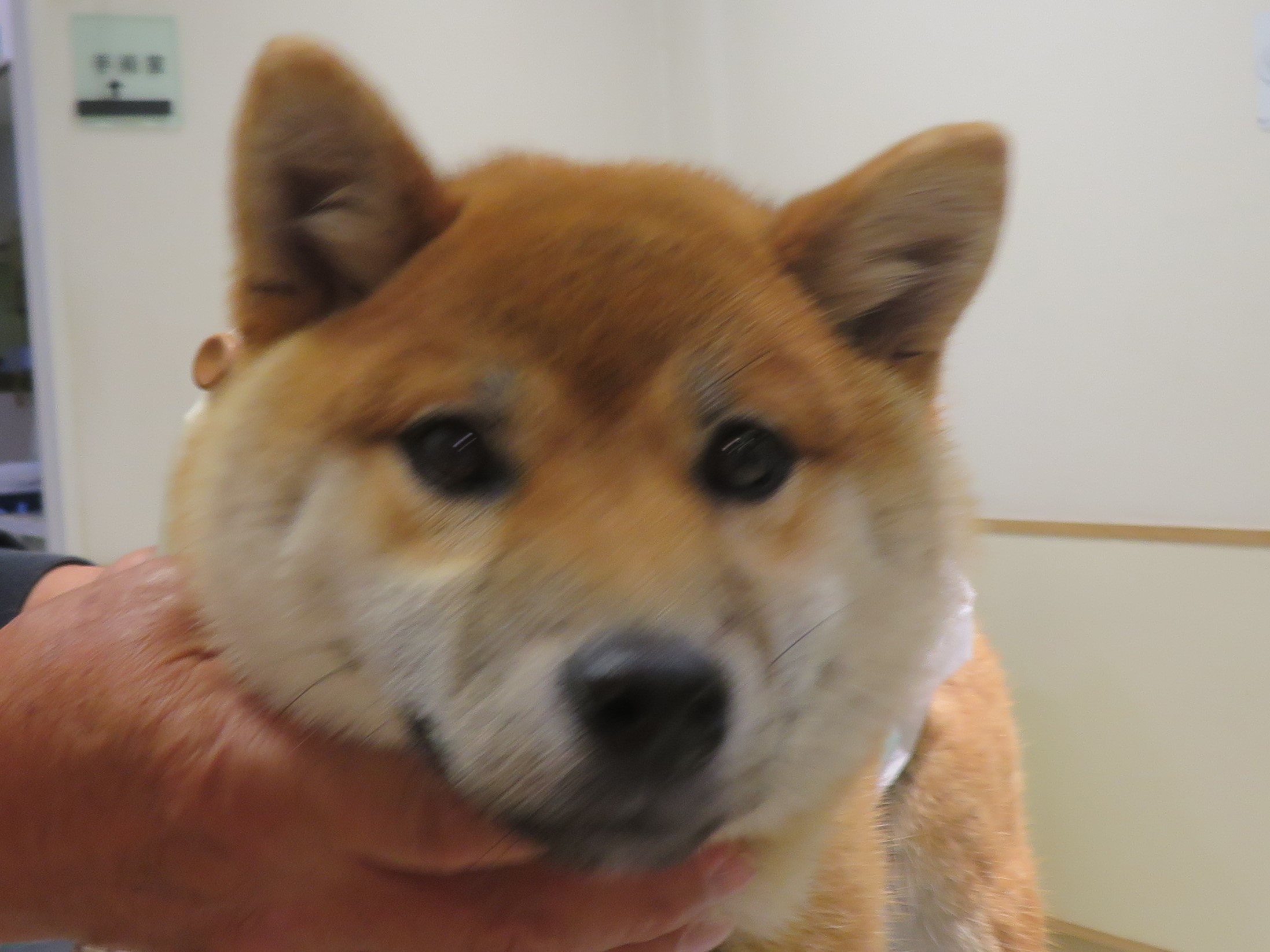 5月 13日の写真_c0174644_18065845.jpg