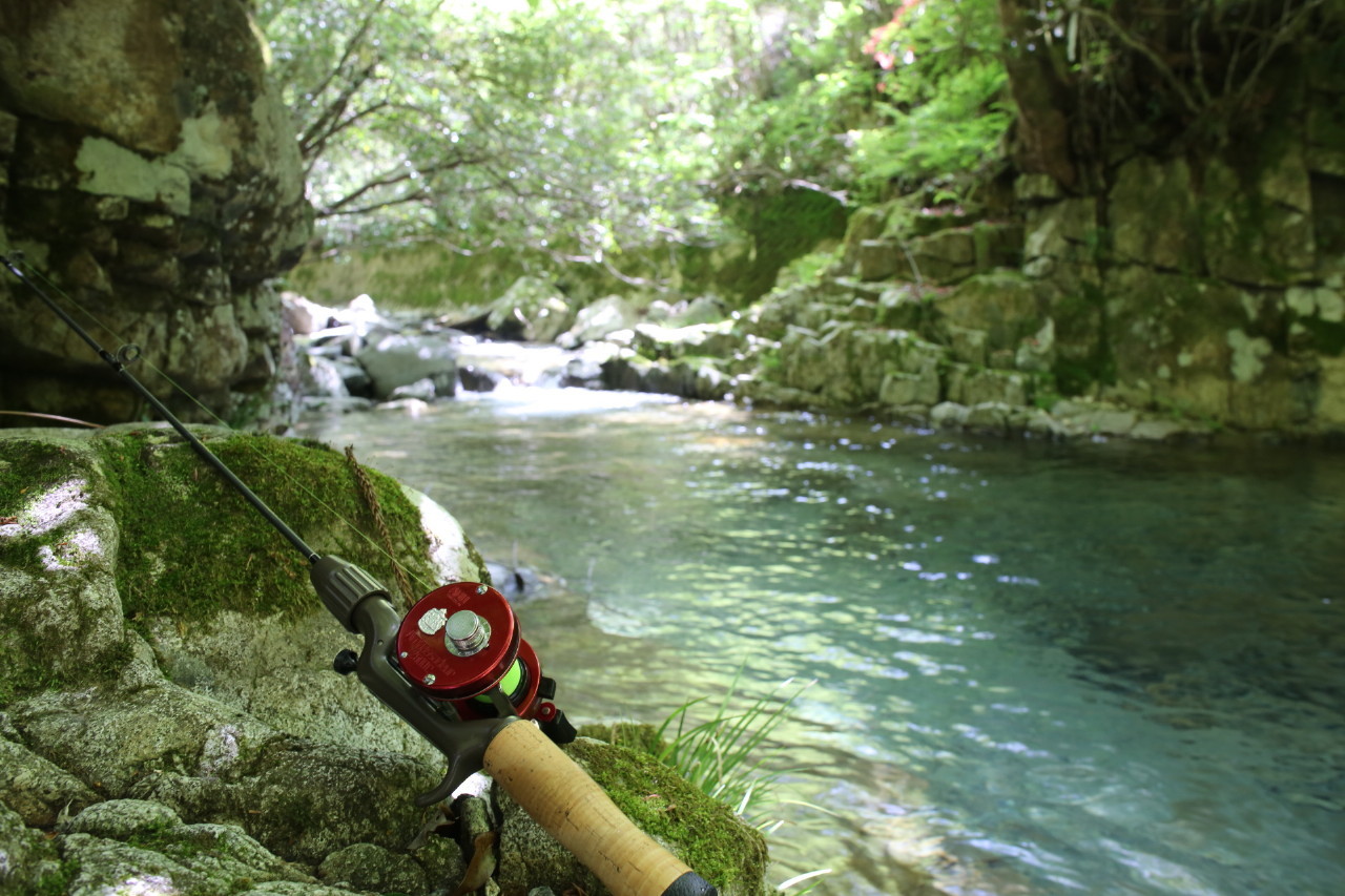 微力ではあるが無力ではない