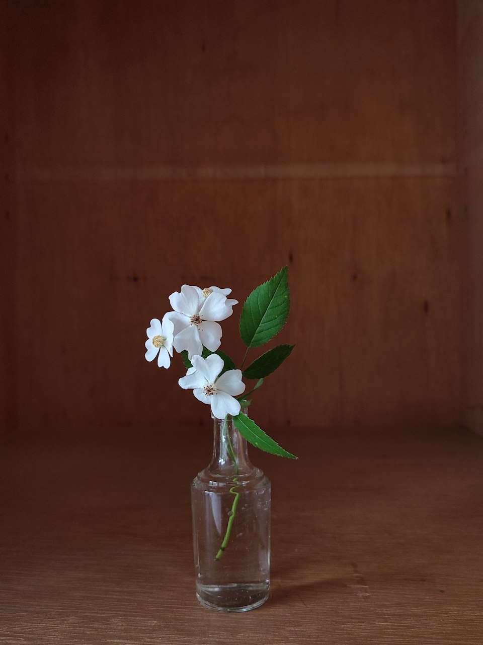 投げ入れ花 Bamboo Art Life 投げ入れ花 Bamboo Art Life