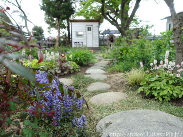 日ごとに賑やかになる宿根草の庭 4月の花壇の移り変わり_c0293787_10254543.jpg