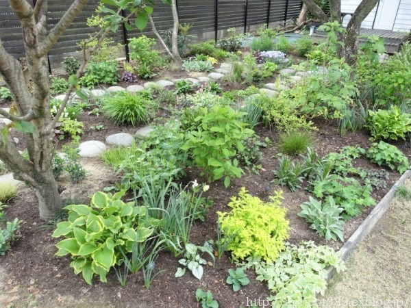日ごとに賑やかになる宿根草の庭 4月の花壇の移り変わり_c0293787_10350477.jpg