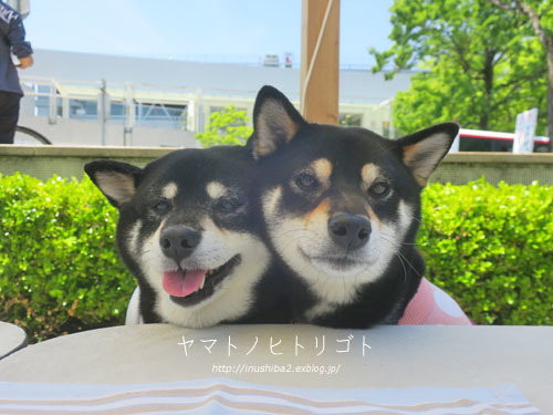 美柴母娘_e0394031_07022143.jpg