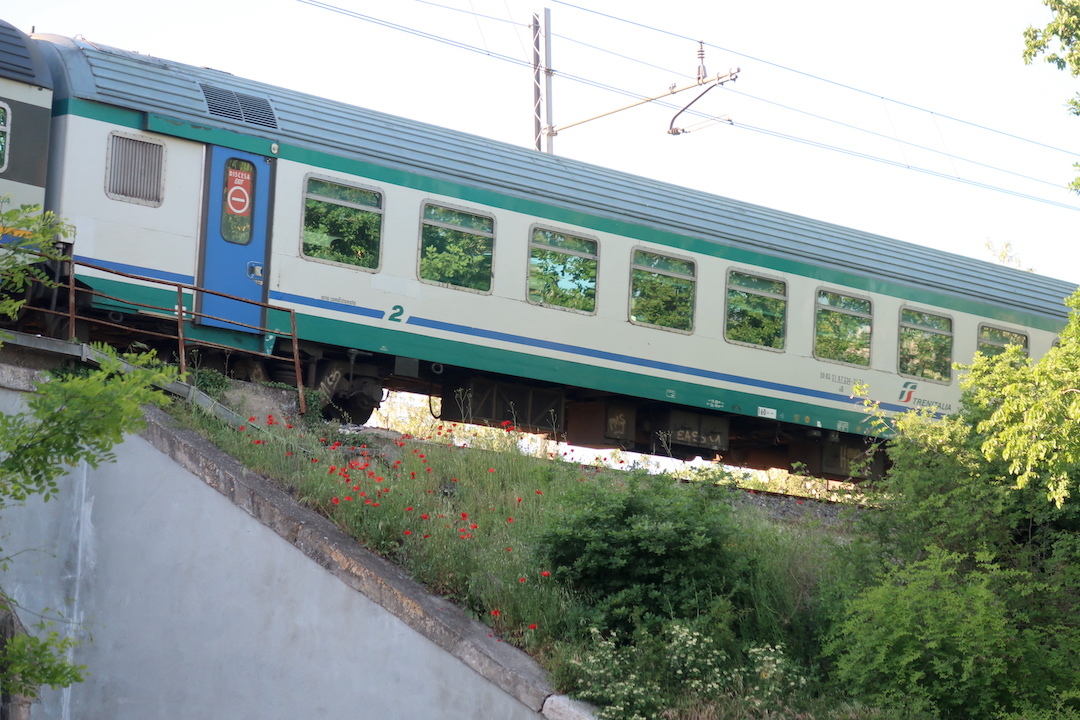新緑を映し花の間を電車ゆく_f0234936_06585591.jpg