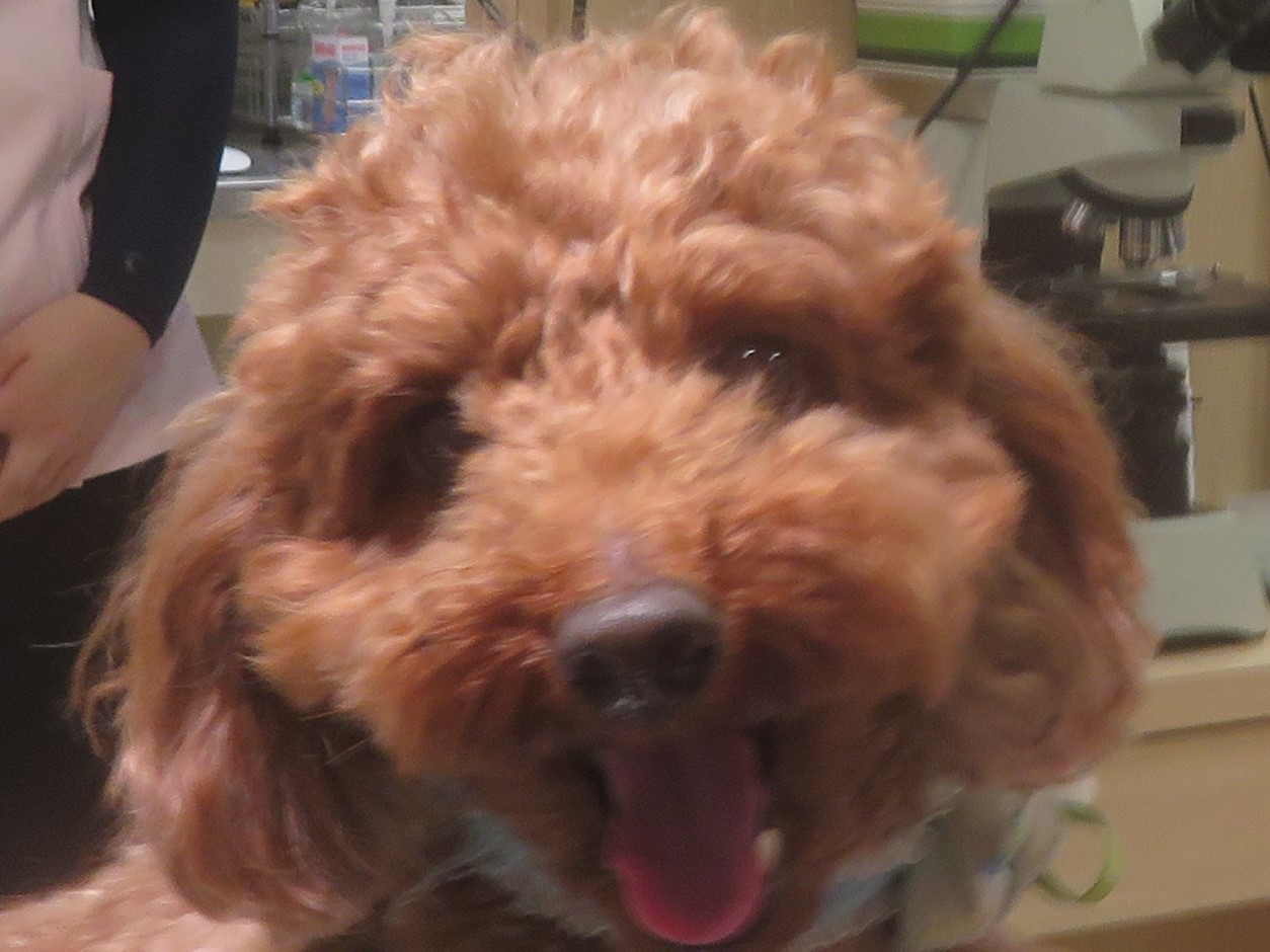 5 月 14 日の写真_c0174644_12560137.jpg