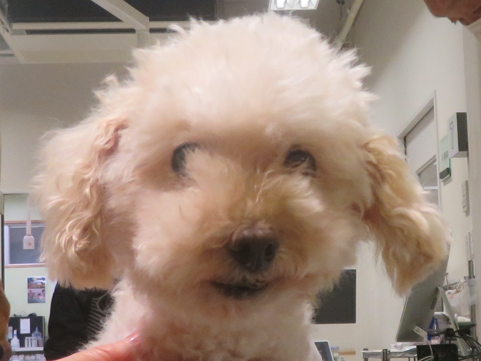 5 月 14 日の写真_c0174644_20450626.jpg