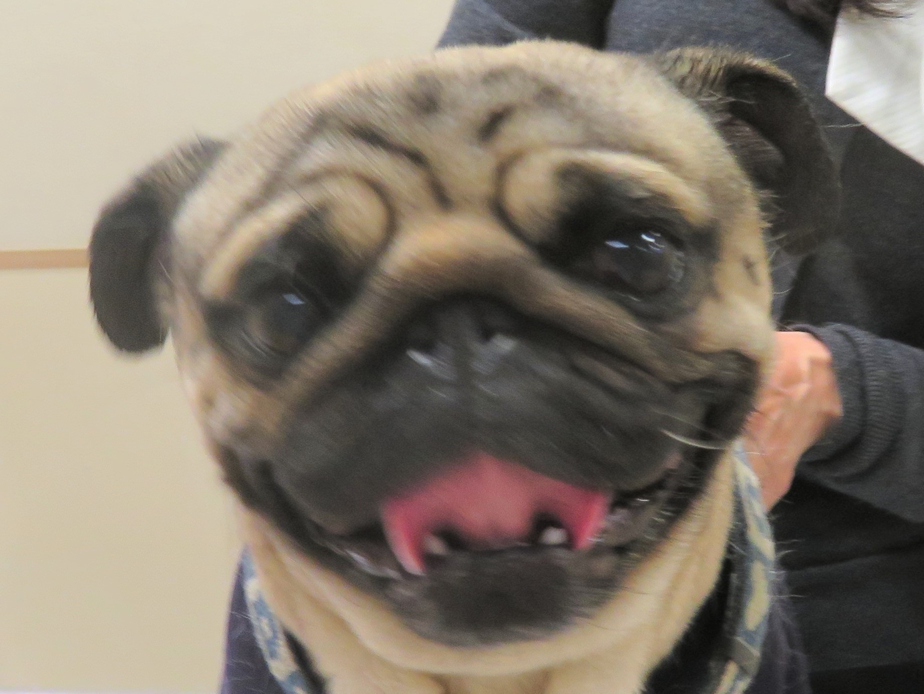 5 月 14 日の写真_c0174644_20450675.jpg